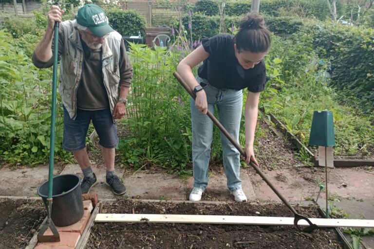 A man and woman using gardening tools on an allotment