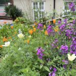 Wildlife-friendly planting